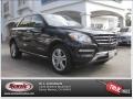 Black - ML 350 4Matic Photo No. 25