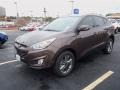 2014 Kona Bronze Hyundai Tucson SE  photo #1