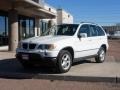 Alpine White - X5 3.0i Photo No. 10