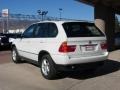 Alpine White - X5 3.0i Photo No. 12