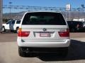 Alpine White - X5 3.0i Photo No. 13
