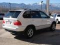 Alpine White - X5 3.0i Photo No. 14
