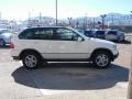 Alpine White - X5 3.0i Photo No. 15