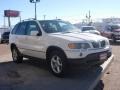 Alpine White - X5 3.0i Photo No. 16