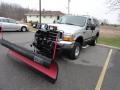 Silver Metallic - F250 Super Duty XLT Regular Cab 4x4 Photo No. 1