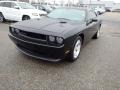 Pitch Black - Challenger SXT Photo No. 1