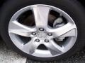 Graphite Luster Metallic - TSX Technology Photo No. 7