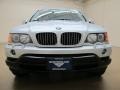 2003 Titanium Silver Metallic BMW X5 4.4i  photo #3