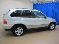 2003 Titanium Silver Metallic BMW X5 4.4i  photo #10