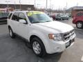 White Suede - Escape Limited V6 4WD Photo No. 2