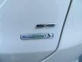 White Platinum - Fusion SE EcoBoost Photo No. 16
