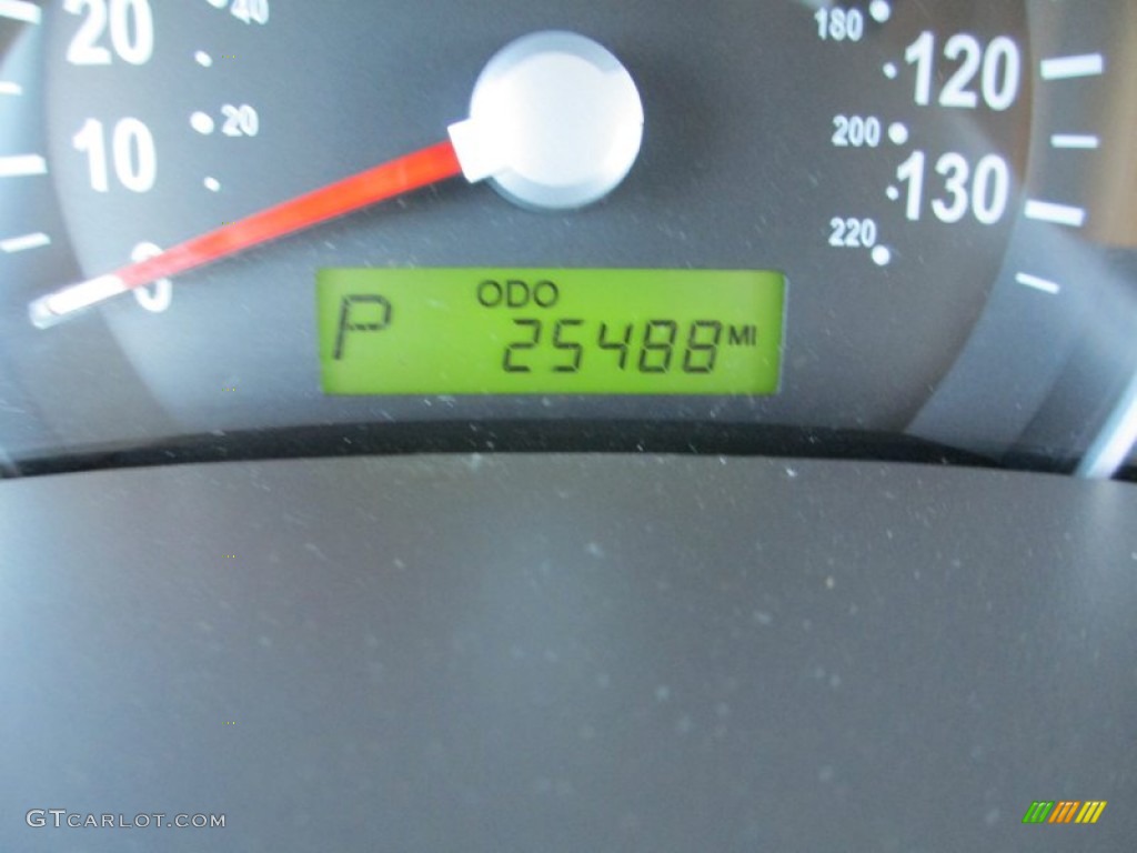 2009 Sedona LX - Olive Gray / Beige photo #16
