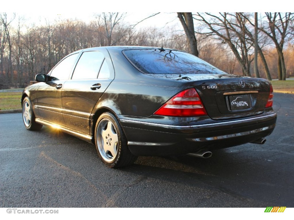 2002 S 600 Sedan - designo Mocha Black Metallic / Light Brown photo #5