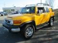 Sun Fusion Yellow - FJ Cruiser 4WD Photo No. 2