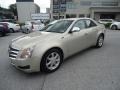 Gold Mist - CTS Sedan Photo No. 2
