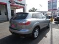 Liquid Silver Meatllic - CX-9 Sport Photo No. 7