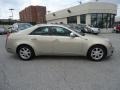 Gold Mist - CTS Sedan Photo No. 5