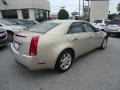 Gold Mist - CTS Sedan Photo No. 6