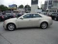 Gold Mist - CTS Sedan Photo No. 9