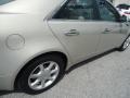 Gold Mist - CTS Sedan Photo No. 43
