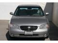 Gray Lustre Metallic - Maxima SE Photo No. 8