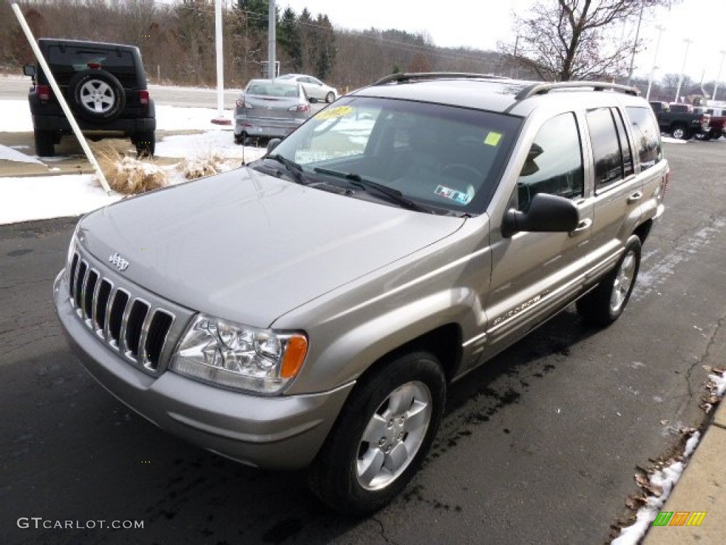 2002 Grand Cherokee Limited 4x4 - Light Pewter Metallic / Dark Slate Gray photo #4
