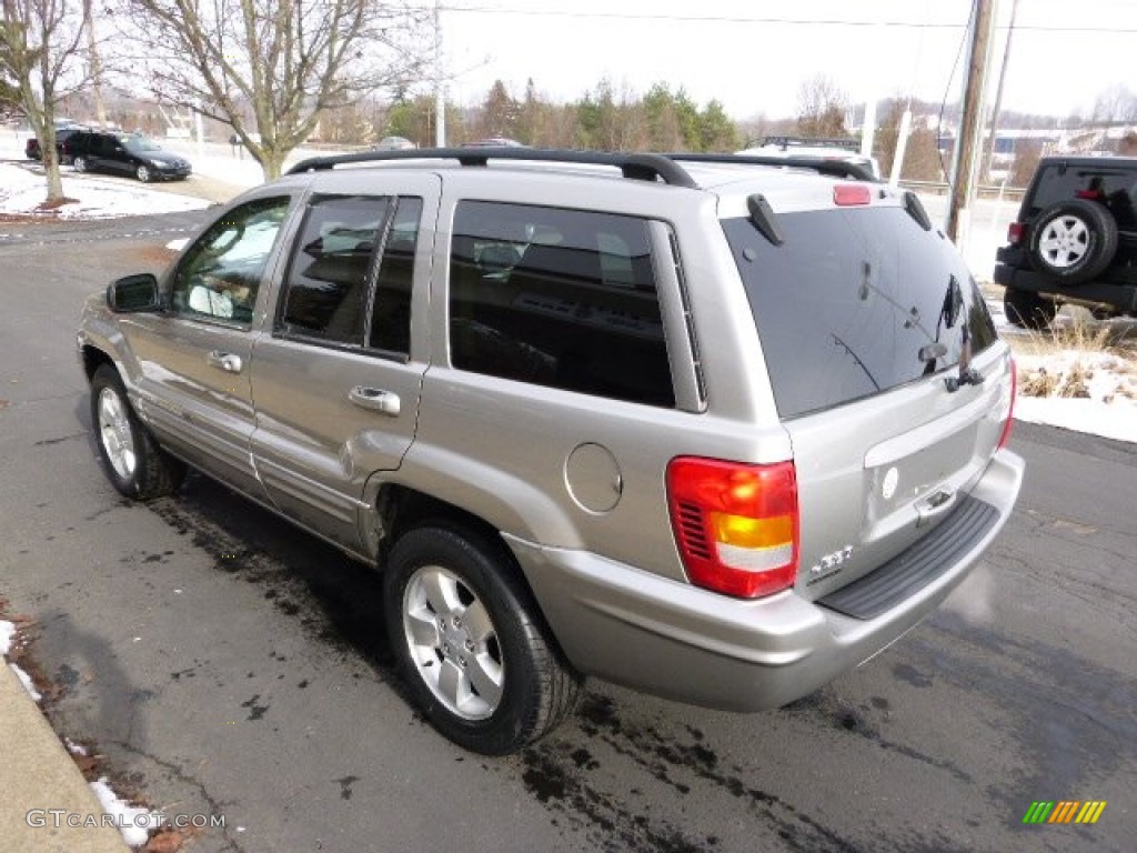 2002 Grand Cherokee Limited 4x4 - Light Pewter Metallic / Dark Slate Gray photo #6