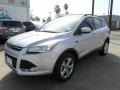 2014 Ingot Silver Ford Escape SE 1.6L EcoBoost  photo #1