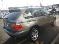Sterling Grey Metallic - X5 3.0i Photo No. 9