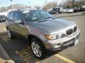 Sterling Grey Metallic - X5 3.0i Photo No. 11