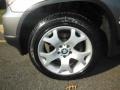 Sterling Grey Metallic - X5 3.0i Photo No. 14