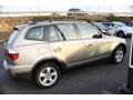 Platinum Bronze Metallic - X3 3.0si Photo No. 4