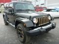 Dragon Edition Black/Gold - Wrangler Unlimited Dragon Edition 4x4 Photo No. 7