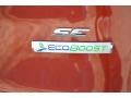 2014 Sunset Ford Escape SE 1.6L EcoBoost  photo #12