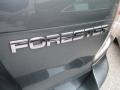 2009 Sage Green Metallic Subaru Forester 2.5 X Limited  photo #39