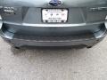 2009 Sage Green Metallic Subaru Forester 2.5 X Limited  photo #40