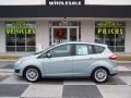 Ice Storm 2013 Ford C-Max Hybrid SE