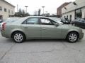 Silver Green - CTS Sedan Photo No. 7