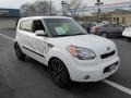 2011 Clear White/Grey Graphics Kia Soul White Tiger Special Edition  photo #7