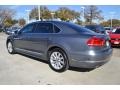 Platinum Gray Metallic - Passat 2.5L SEL Photo No. 3