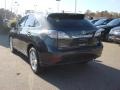 2010 Smokey Granite Mica Lexus RX 350 AWD  photo #4