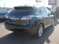 2010 Smokey Granite Mica Lexus RX 350 AWD  photo #6