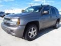 2006 Graystone Metallic Chevrolet TrailBlazer LS  photo #3