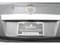 Gray Flannel - SRX 4 V6 AWD Photo No. 9