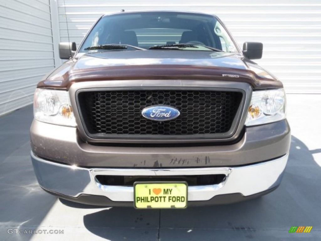 2006 F150 XLT SuperCrew - Dark Shadow Grey Metallic / Medium/Dark Flint photo #7