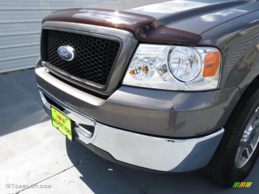 2006 F150 XLT SuperCrew - Dark Shadow Grey Metallic / Medium/Dark Flint photo #10