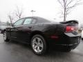 Pitch Black - Charger SE Photo No. 2