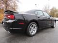 Pitch Black - Charger SE Photo No. 3