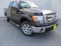 Tuxedo Black Metallic - F150 XLT SuperCab Photo No. 1