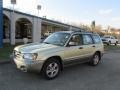Sierra Gold Metallic - Forester 2.5 XS Photo No. 1